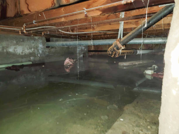Best Flooded house restoration  in Red Lake, AZ