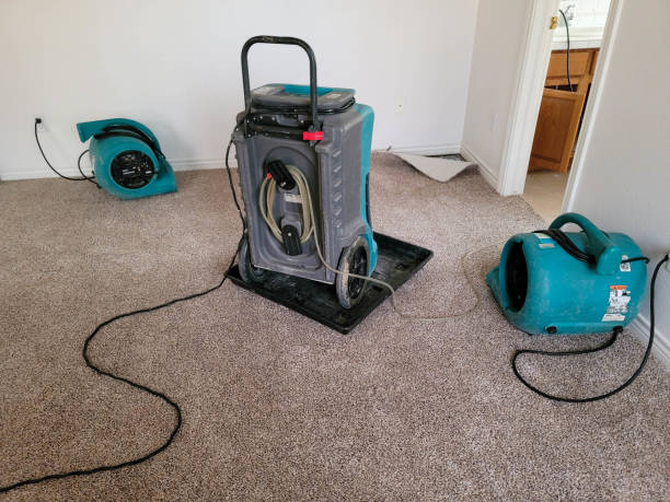 Best Emergency water damage restoration  in Red Lake, AZ