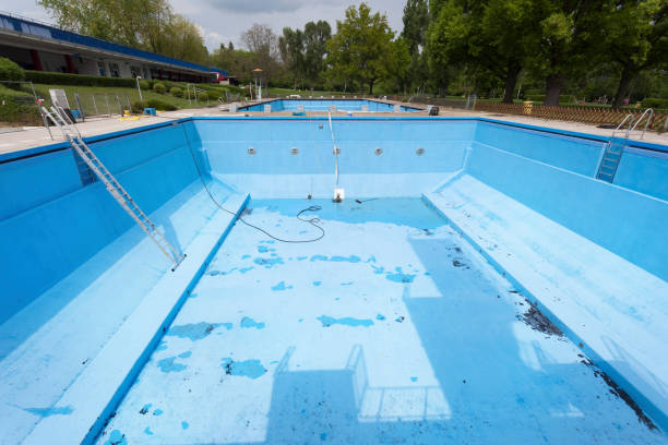 Best Water damage contractors near me  in Red Lake, AZ