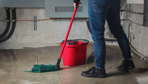 Best Mold removal after water damage  in Red Lake, AZ