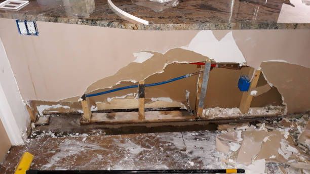 Best Carpet water damage restoration  in Red Lake, AZ