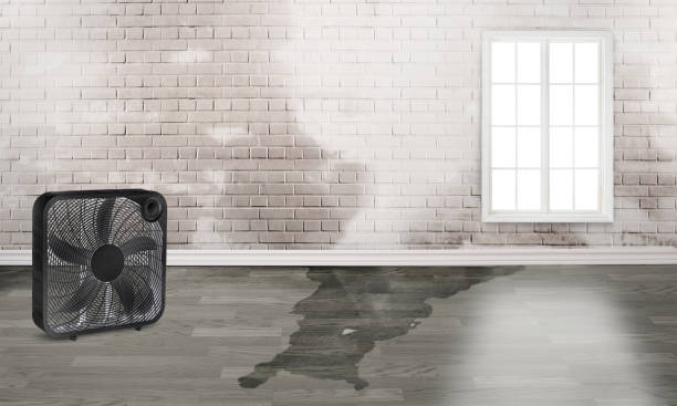 Best 24-hour water damage restoration  in Red Lake, AZ