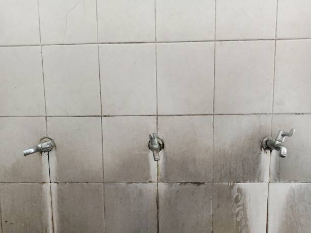 Best Ceiling water damage repair  in Red Lake, AZ