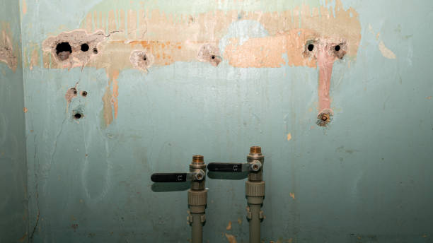 Best Ceiling water damage repair  in Red Lake, AZ