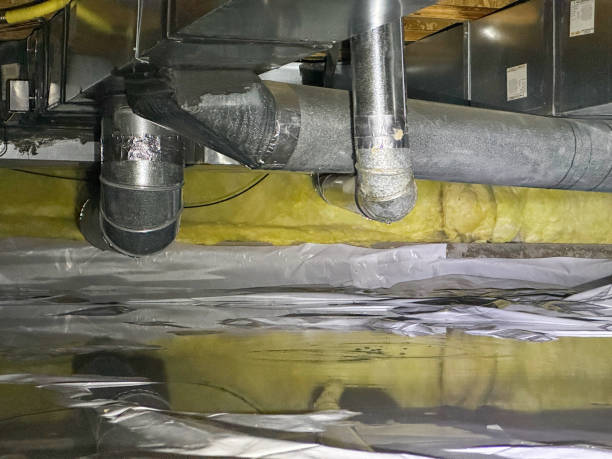 Best Local water damage restoration  in Red Lake, AZ