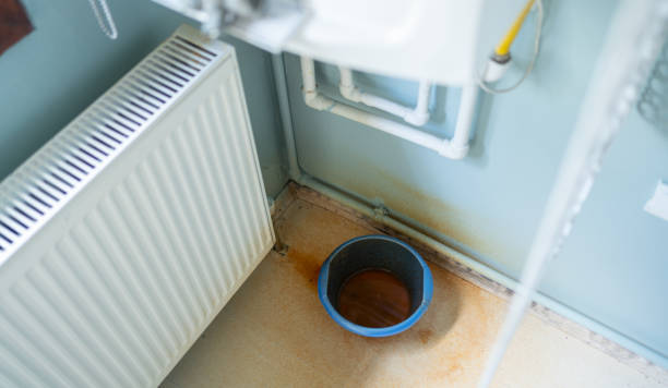 Best Residential water damage restoration  in Red Lake, AZ
