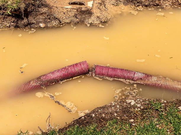 Best Water damage restoration near me  in Red Lake, AZ